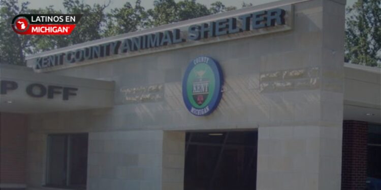 KCAS busca adoptantes mientras se traslada de regreso a Fuller Avenue