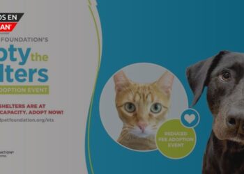“Empty the Shelters”: La oportunidad perfecta para dar un hogar a una mascota en mayo