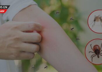 Autoridades sanitarias alertan sobre el riesgo de picaduras de garrapatas y mosquitos en Livingston County