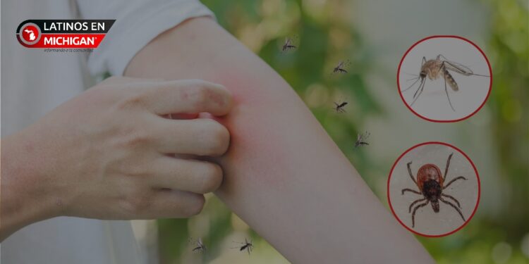 Autoridades sanitarias alertan sobre el riesgo de picaduras de garrapatas y mosquitos en Livingston County