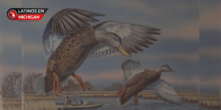 Festival de Aves Acuáticas: actividades gratis para toda la familia en la Bahía de Saginaw