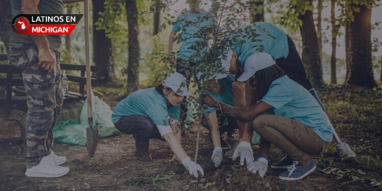 Michigan impulsa la reforestación urbana con $100,000 en subvenciones para comunidades locales