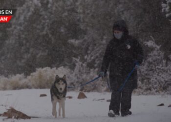 Best Friends Animal Society ofrece recomendaciones para proteger a las mascotas durante el invierno