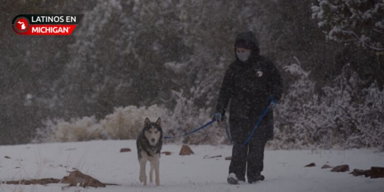 Best Friends Animal Society ofrece recomendaciones para proteger a las mascotas durante el invierno