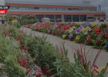 Eastern Market se convierte en el corazón navideño de Detroit con su tradicional Holiday Market